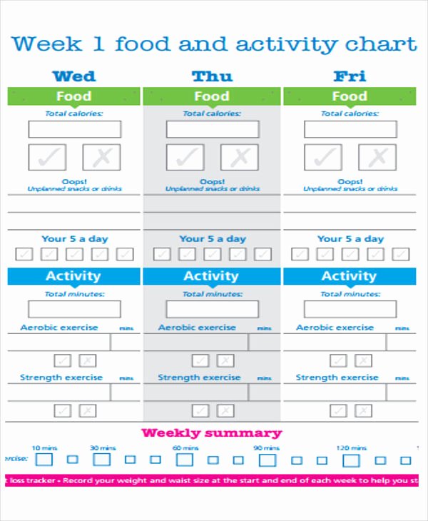 Weight Loss Meal Planner Template Lovely 10 Diet Plan Templates Free Sample Example format