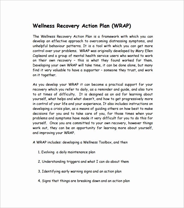 Wellness Recovery Action Plan Template Fresh Sample Action Plan Template 28 Download Free Documents