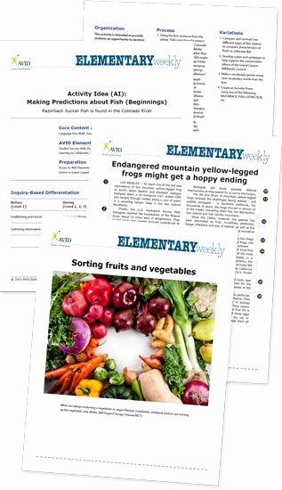 Wicor Lesson Plan Template Unique 1000 Images About Avid Elementary On Pinterest