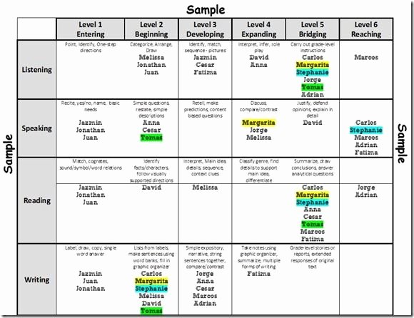 Wida Lesson Plan Template Unique 32 Best Wida Images On Pinterest