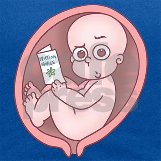 Baby Eviction Notice Template Lovely Womb Evict T Maternity Tank top by Vicevoices Cafepress