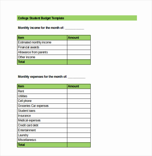 Basic Household Budget Template New Basic Bud Template