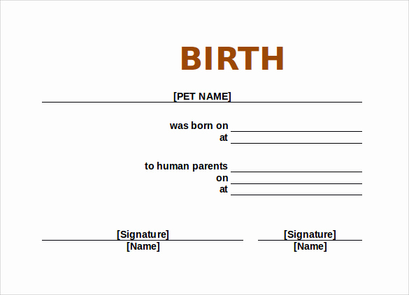 Birth Certificate Template Doc Awesome Sample Birth Certificate 11 Free Documents In Word Pdf