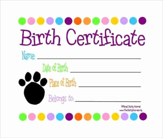 birth certificate template