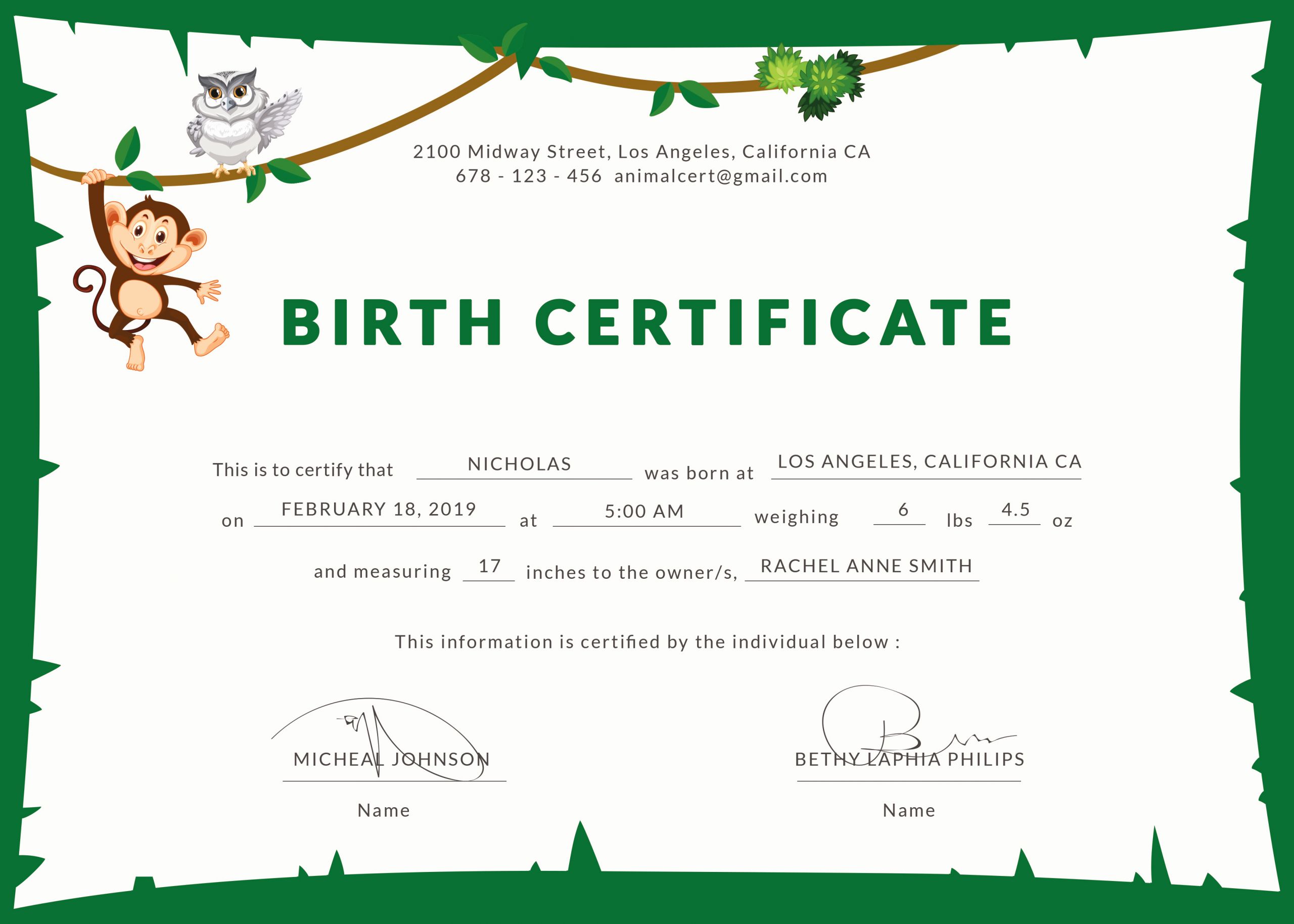 Birth Certificate Template Doc Beautiful Birth Certificate