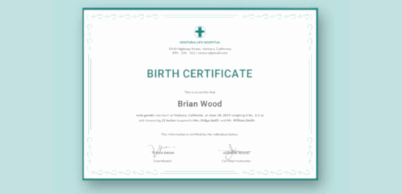 Birth Certificate Template Doc Best Of 12 Sample Birth Certificate Templates Word Psd