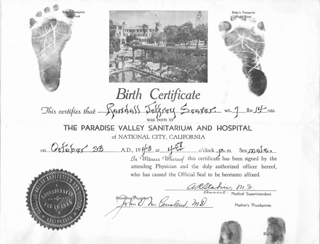 Birth Certificate Template Doc Best Of 21 Free Birth Certificate Template Word Excel formats