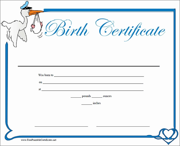 Birth Certificate Template Doc Lovely Free 17 Birth Certificate Templates In Illustrator