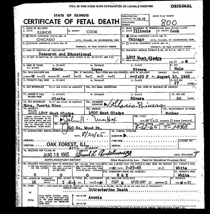 Blank Death Certificate Template Luxury 30 New Fetal Death Certificate Sa Pro Literacy