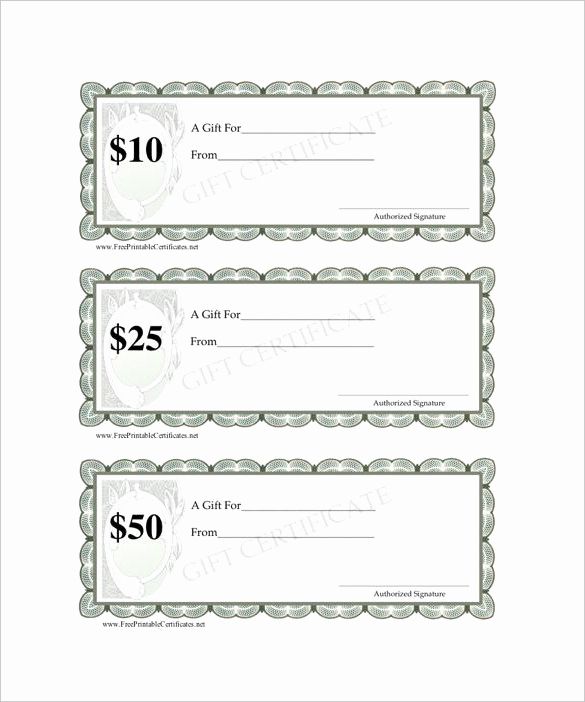 Blank Gift Certificate Template Word Unique Blank Gift Certificate Template – 13 Free Word Pdf