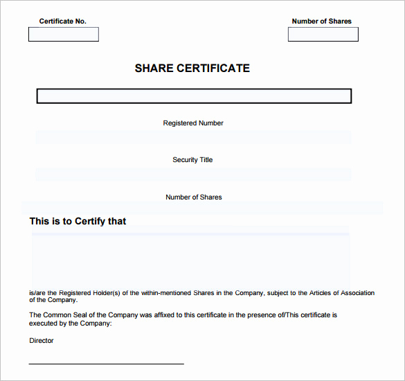 Blank Stock Certificate Template Free Luxury 14 Certificate Templates