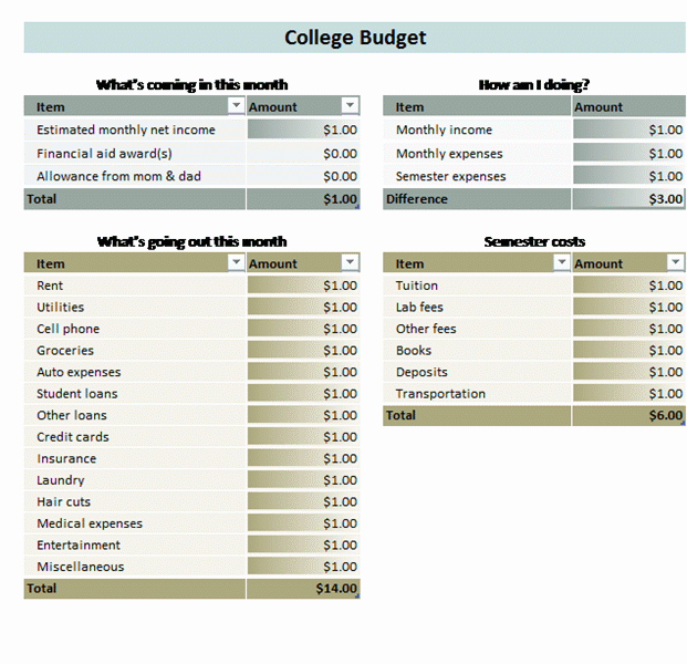 Budget Template for College Students Lovely College Student Bud Templates Fice