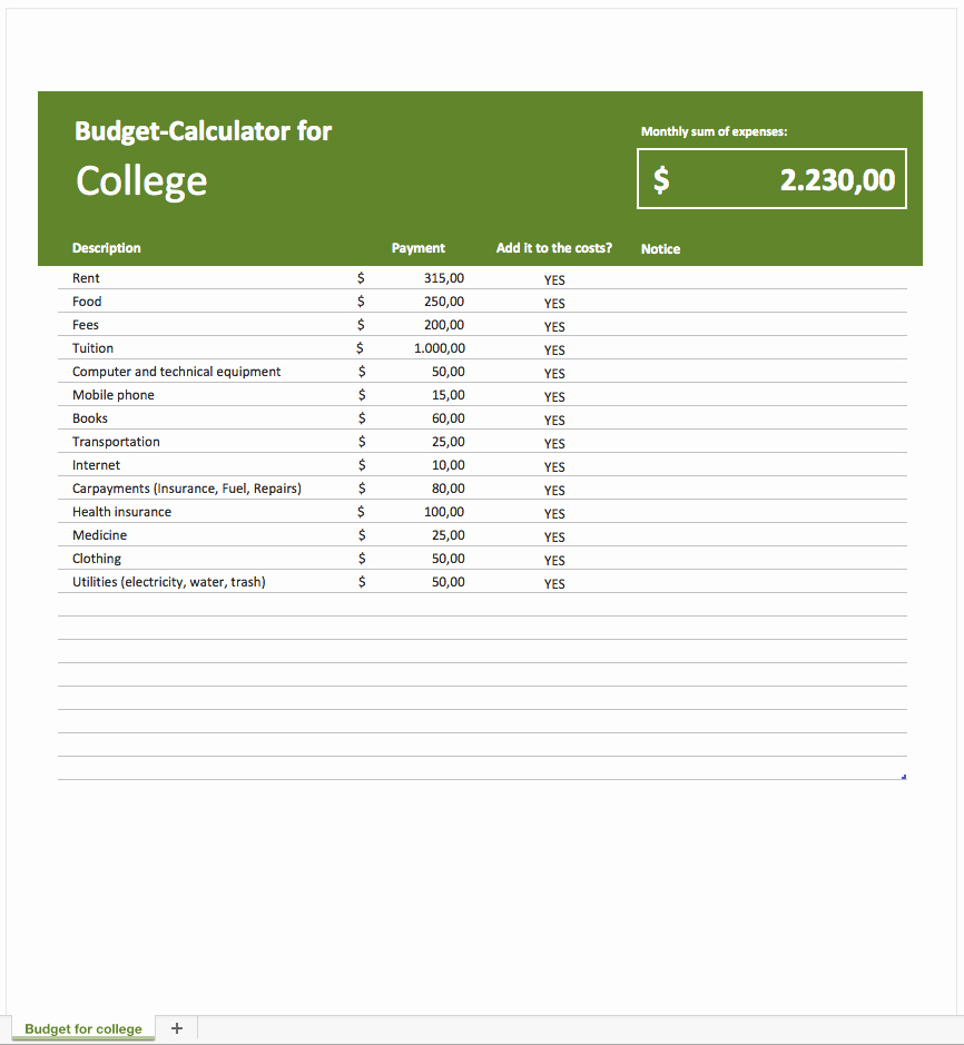Budget Template for College Students Luxury Bud Planner for College Students