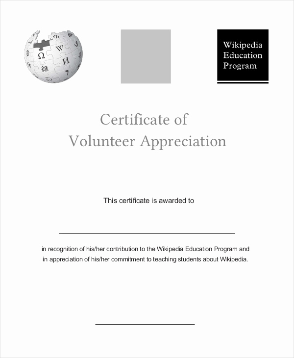 Certificate Of Appreciation Template Powerpoint Beautiful Certificate Of Appreciation 28 Free Pdf Ppt Documents