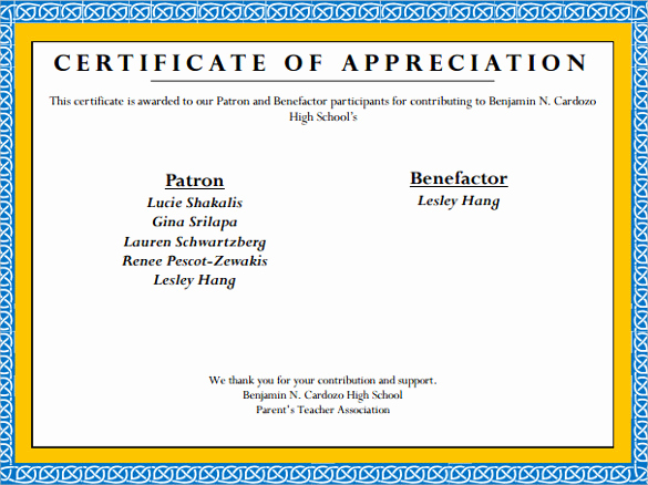 Certificate Of Appreciation Template Powerpoint Beautiful Sample Certificate Of Appreciation Temaplate 12