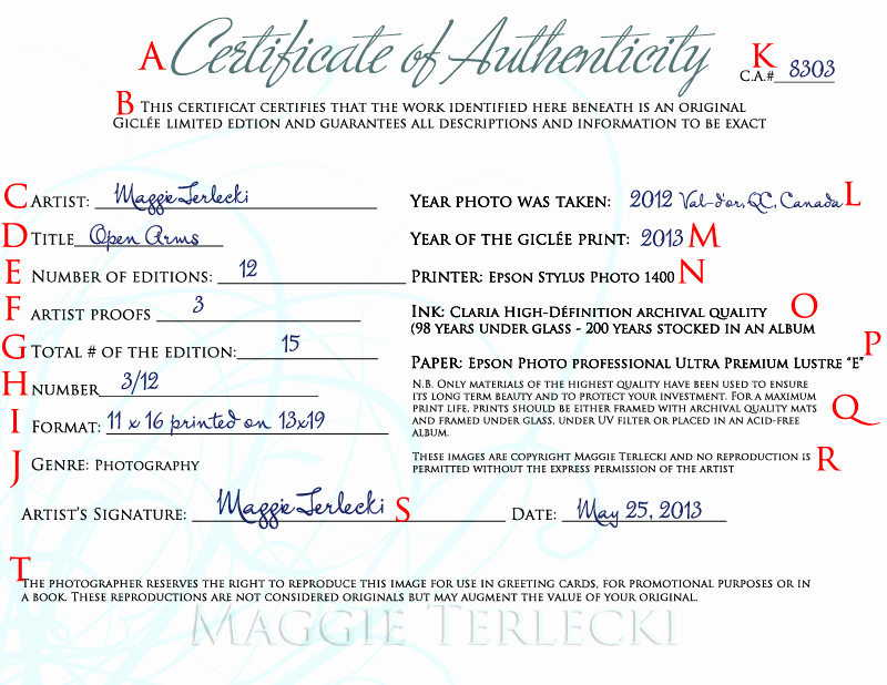 Certificate Of Authenticity Photography Template Inspirational Certificate Authenticity Graphy