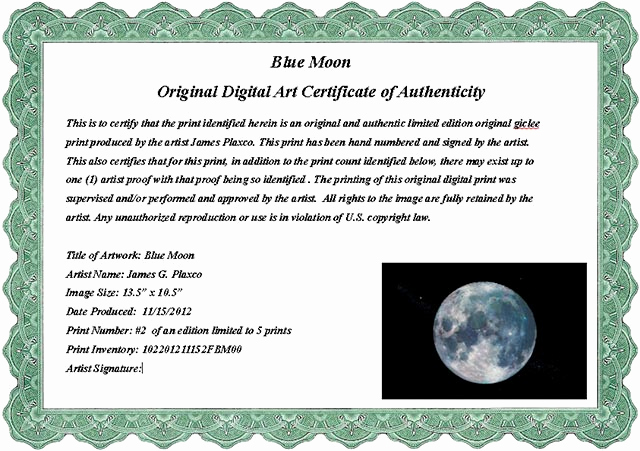 Certificate Of Authenticity Photography Template Luxury Certificate Authenticity Wording – Printable Receipt