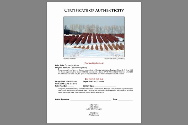 Certificate Of Authenticity Photography Template Unique Certificate Of Authenticity Templates