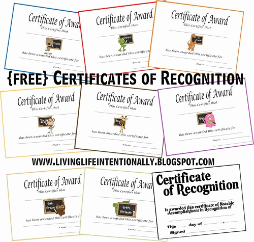 Certificate Of Life Template New 1000 Images About Homeschool Awards and Certificates On