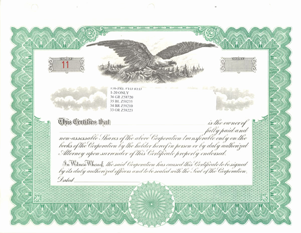 Corporate Stock Certificate Template Word Fresh Blank Stock Certificates Free Printable Documents