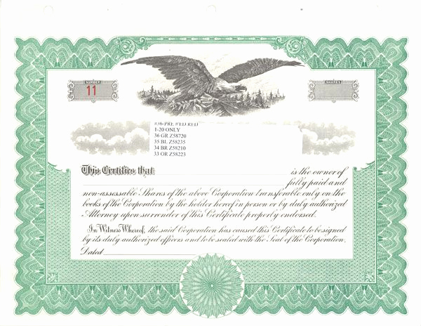 Corporate Stock Certificates Template Free Inspirational Sample Stock Certificate Free Download Printable