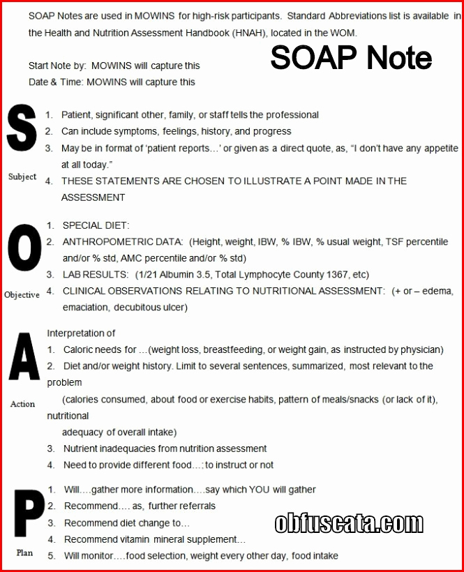 Counseling soap Note Template Inspirational What is A soap Note