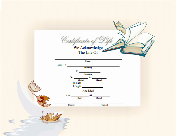 Death Certificate Template Word Awesome Sample Death Certificate Template 7 Download Documents