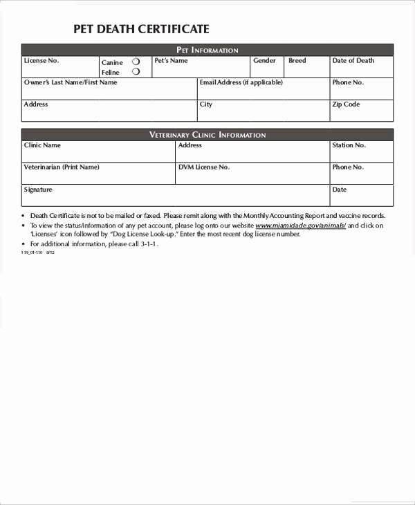 Death Certificate Template Word Elegant Certificate Templates 7 Death Certificate Templates