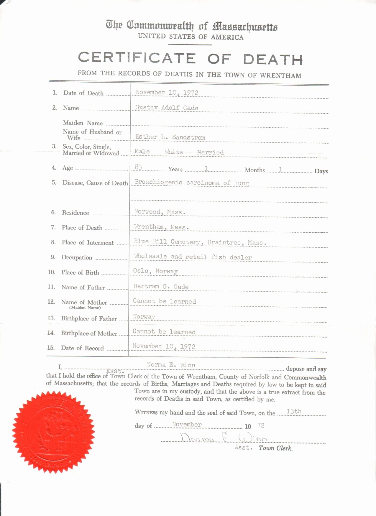 Death Certificate Template Word New Wood Gade Documents – Relatively Speaking