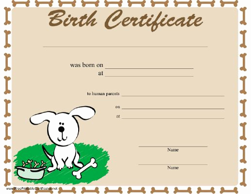 Dog Training Certificate Template Awesome A Dog Birth Certificate Bordered In Bones and Featuring A