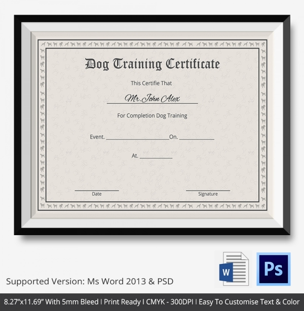 training certificate template