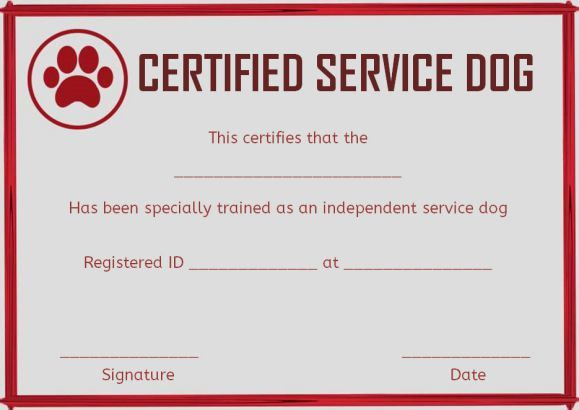 Dog Training Certificate Template Fresh Service Dog Training Certificates Template