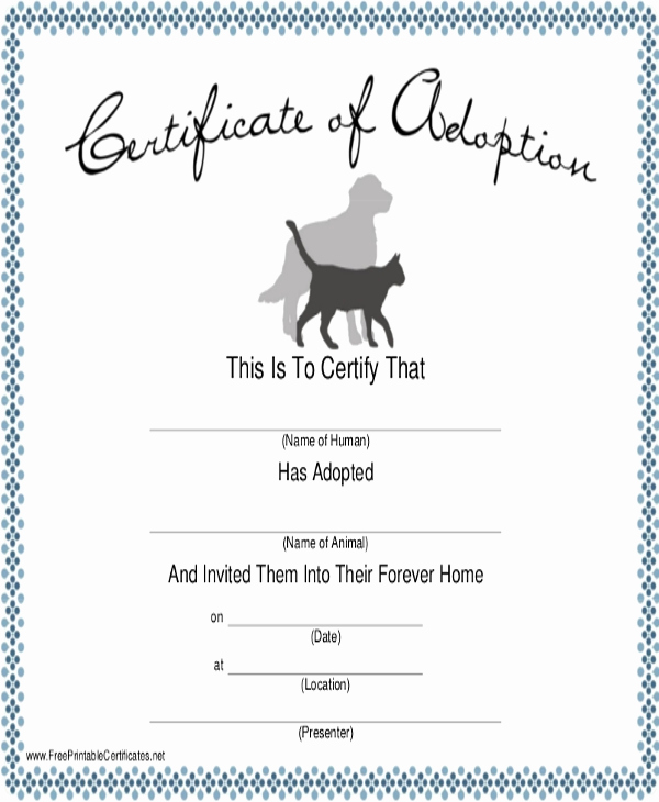 Dog Training Certificate Template Inspirational Dog Certificate Template 13 Pdf Ai Word Psd