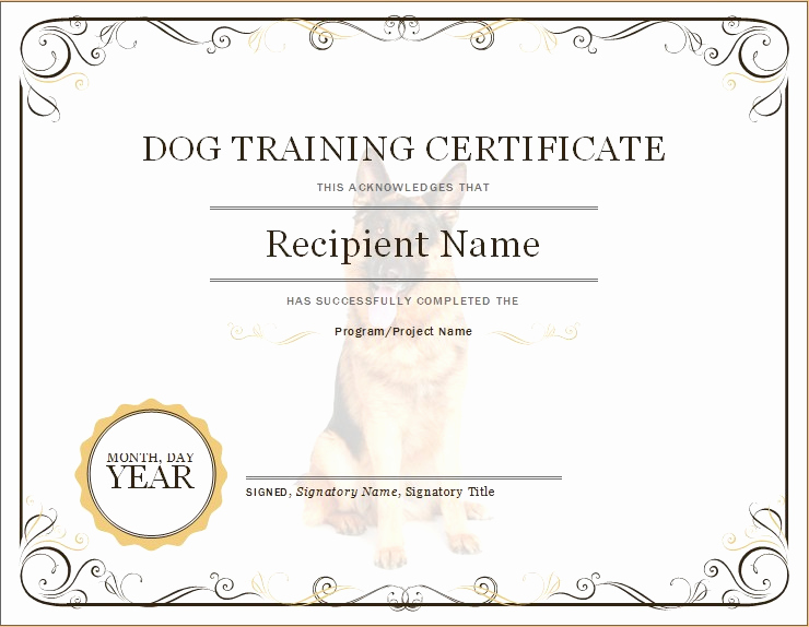 Dog Training Certificate Template Inspirational Dog Training Certificate