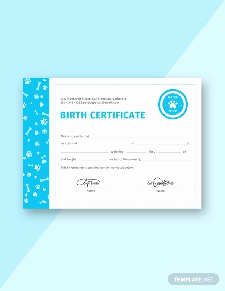 Editable Birth Certificate Template Fresh Birth Certificate Template 38 Word Pdf Psd Ai