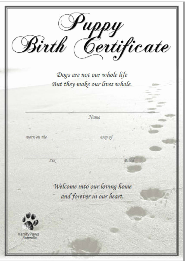 Editable Birth Certificate Template Inspirational 16 Pet Birth Certificate Designs &amp; Templates Pdf Psd