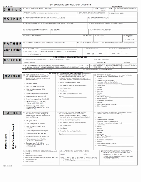 Editable Birth Certificate Template Lovely Blank Certificates