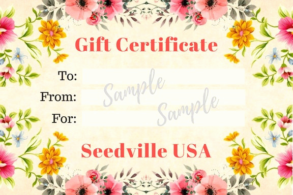 Email Gift Certificate Template Elegant Seedville Usa Gift Certificate Vintage Floral Design