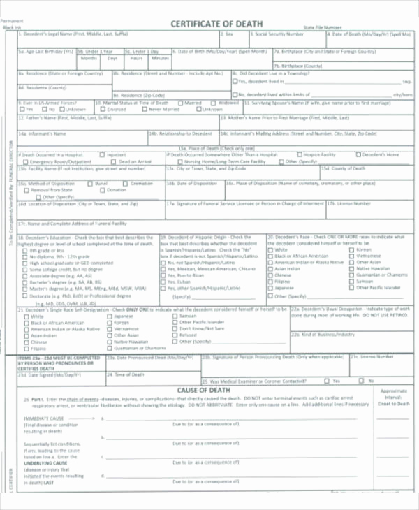 Free Death Certificate Template Luxury 24 Of Template for Baby Death