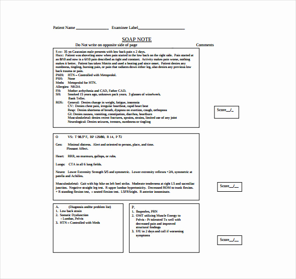 Free soap Note Template Awesome soap Note Template – 9 Free Word Pdf format Download