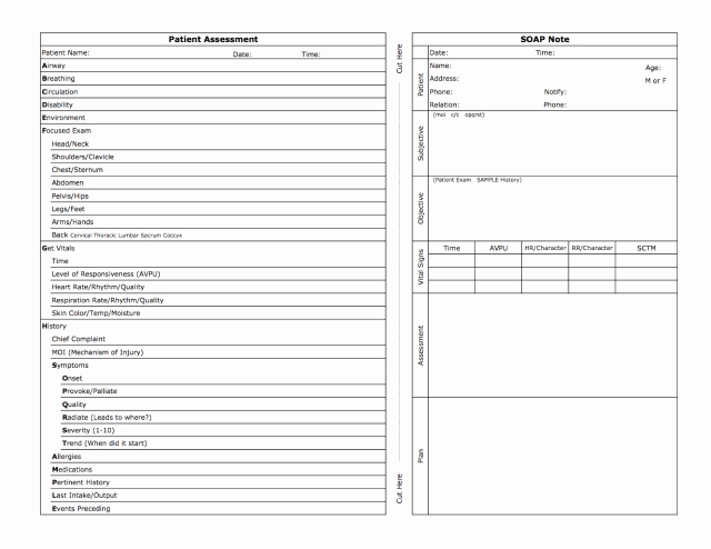 Free soap Note Template Beautiful 10 soap Note Template Free Download Word Excel Pdf