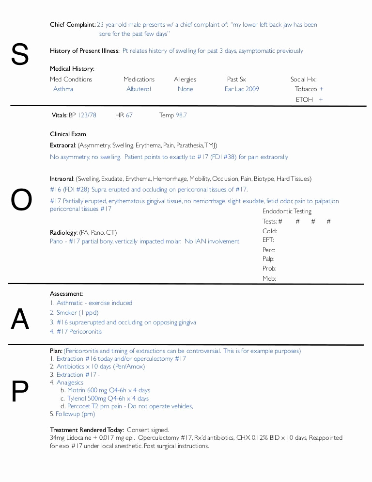 Free soap Note Template Lovely soap Charting …