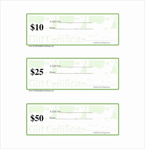 Gift Certificate Template Word Free Inspirational 3 Massage Gift Certificate Template Doc Pdf