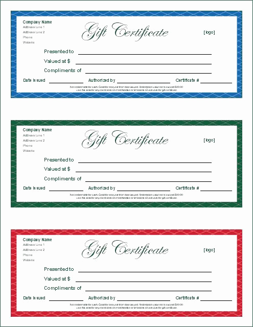 Google Docs Gift Certificate Template Beautiful Gift Certificate Template Google Docs