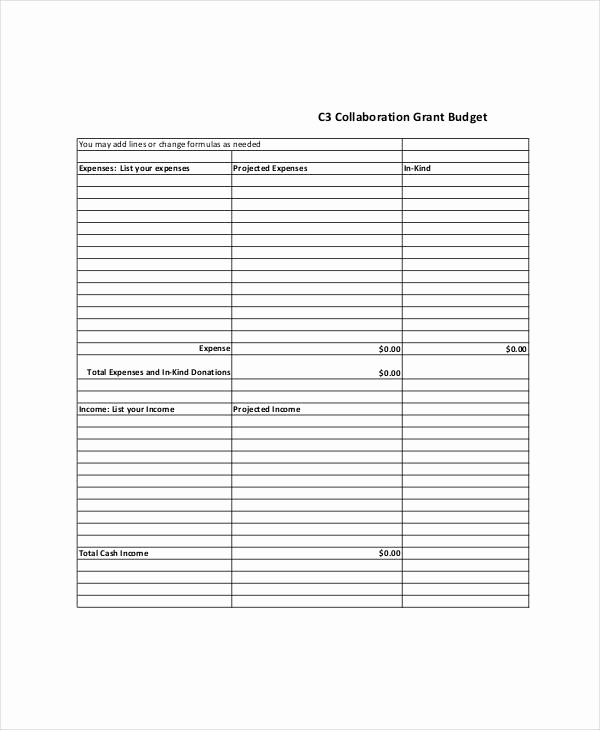 Grant Budget Template Excel New Grant Bud Template 10 Free Pdf Word Documents