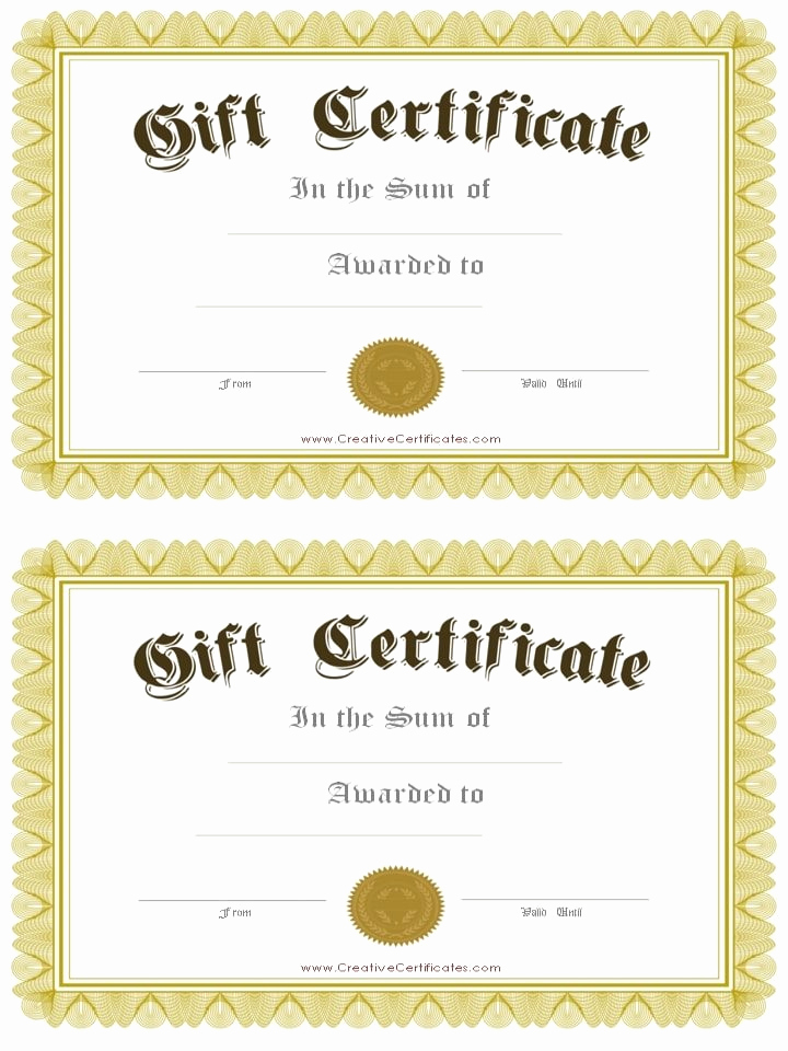 Horseback Riding Gift Certificate Template Elegant 17 Of Horse Gift Certificate Template Design