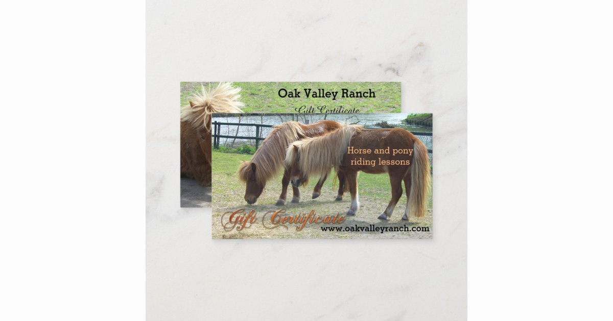 Horseback Riding Gift Certificate Template Elegant Horse Riding Lessons Gift Certificate Template