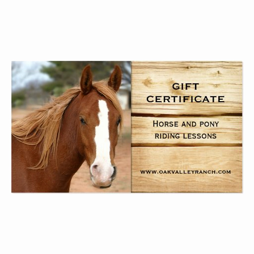 horse riding lessons t certificate template business card