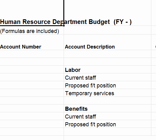 Human Resource Budget Template Awesome Human Resource Bud Template