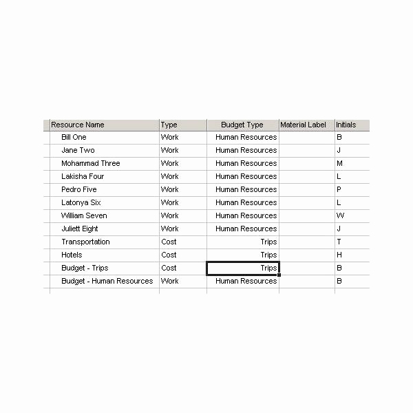 Human Resource Budget Template Elegant See An Example Of A Bud In Microsoft Project